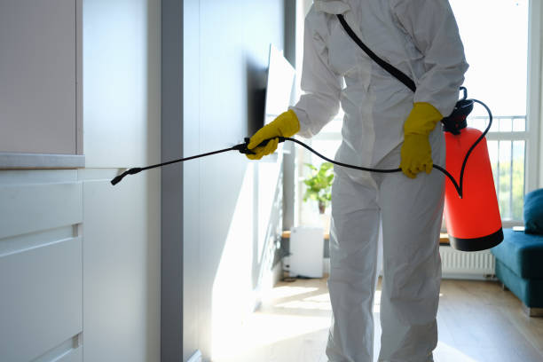 Best Mold Testing  in Rollingwood, CA