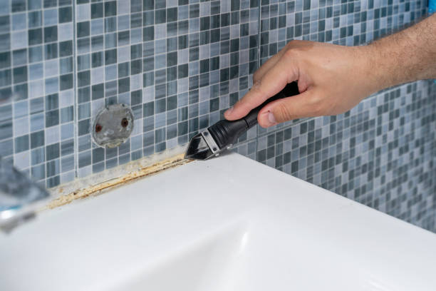 Best Best Mold Removal Companies  in Rollingwood, CA
